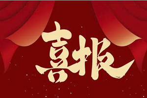 誠(chéng)載使命 信鑄輝煌│華越榮獲泰州2023年度“守合同重信用”企業(yè)！